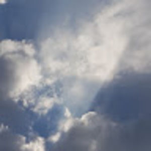 Meet your Posher, Dennis